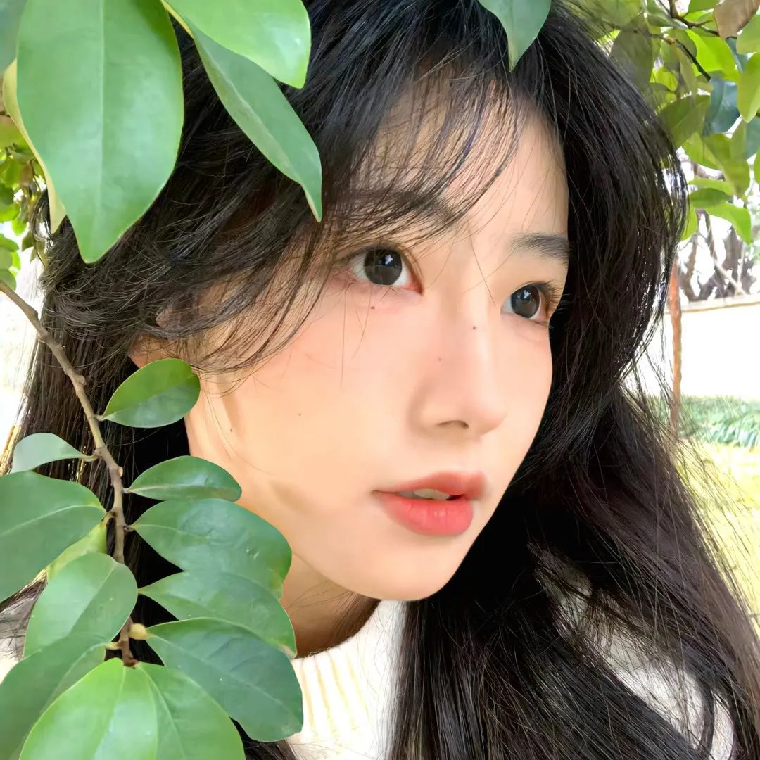 来日同行海报